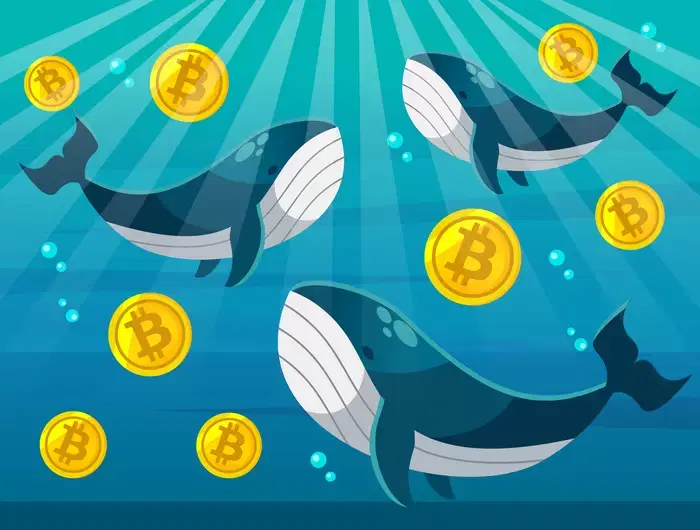 Bitcoin breaks through $78,000... Will the flagship, scooped up by whales, reach $150,000?