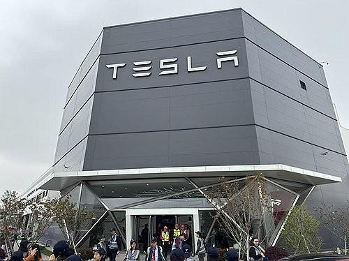 Tesla, driven by those in their 20s, surpassed Kia to become the top domestic EV seller last month