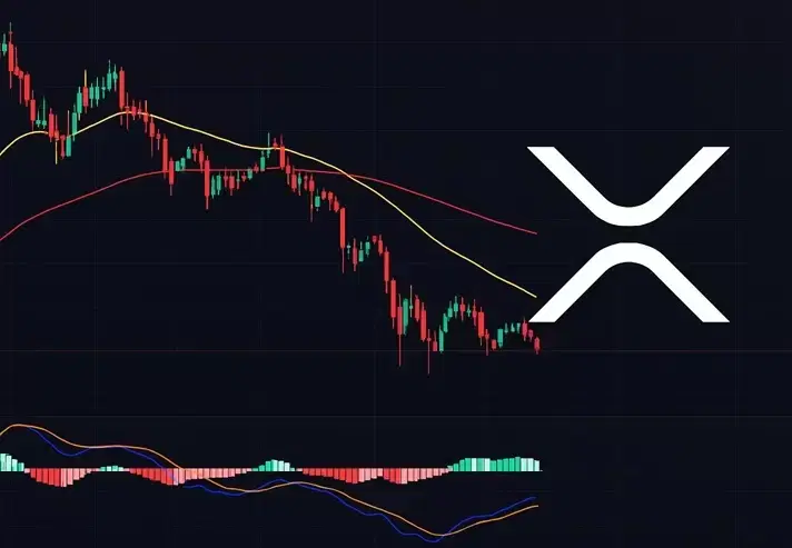 "Ripple's Counterattack"...RLUSD Listed on OKX