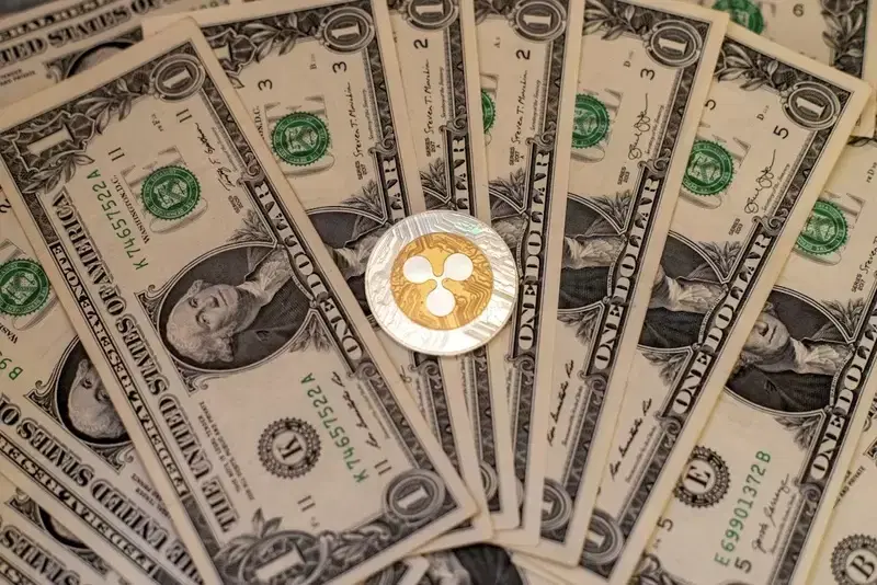 "투기 거품이 싹 빠졌다"...XRP, 바이낸스 레버리지 최저치 경신에 고래들 '방긋'