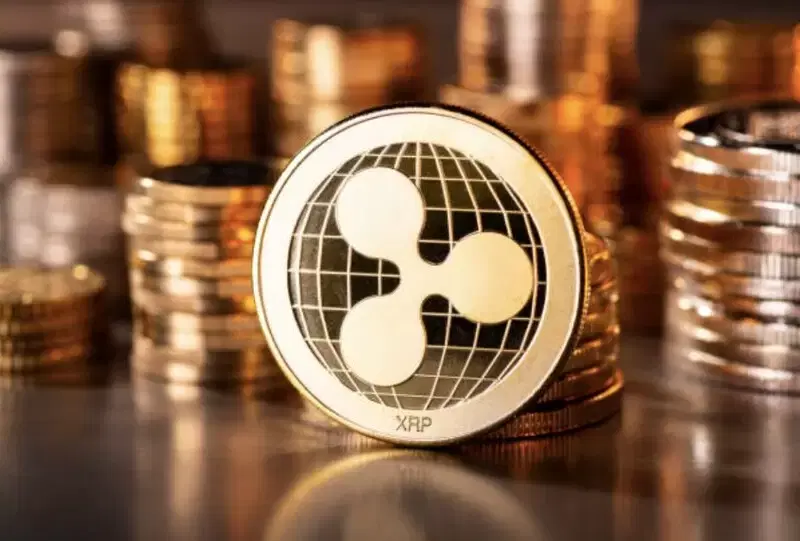 XRP, 부정 심리 최악인데...고래들은 10개월 만에 매집 최고치 달성