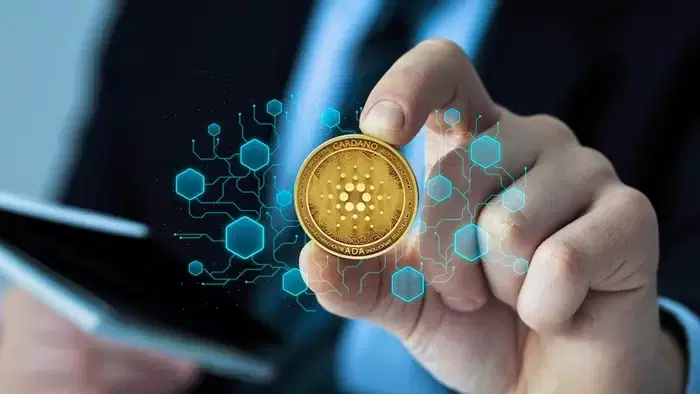 Long/Short Ratio 0.65, Worst Retreat… Experts Warn of Cardano $0.236 Collapse Scenario