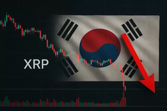 업비트 전산장애 손배소, 왜 법원은 투자자 손 안 들어줬나?