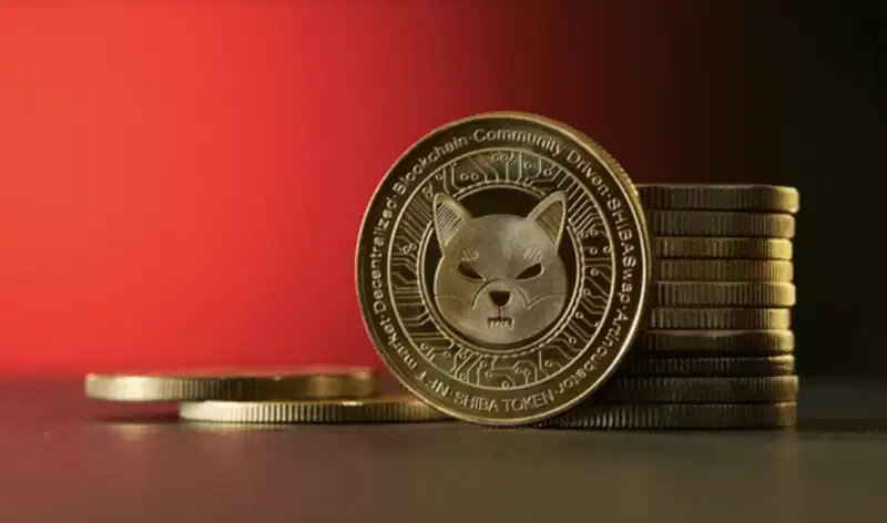 "이미 고점서 90% 떨어졌는데"...시바이누, 하락 탈출 언제쯤?