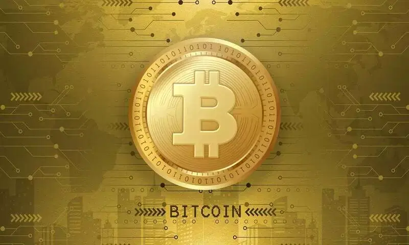 Bitcoin, 830,000 BTC Vanish from Short-Term Wallets...Crossroads of $90,000 vs $60,000