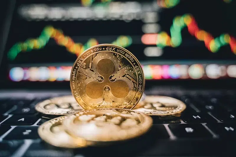 "XRP 데드크로스 터졌다"...'여기' 무너지면 하락 가속