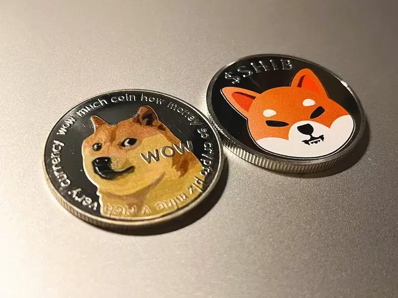 Dogecoin crashes, Shiba Inu holds on... Why are meme coin market directions diverging?