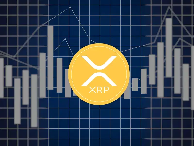 "Survived for years, and only this price?"...XRP, is the real reward starting?