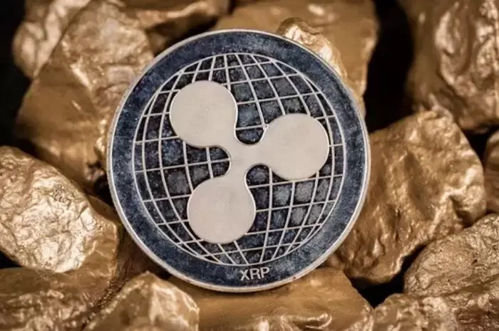 SNS서 'XRP'만 적었을 뿐인데...개미들, 포트폴리오 매니저 게시물에 '패닉 셀'