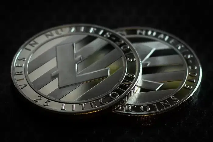 라이트코인(LTC) 현물 ETF, 기관 수요 실종...비트코인(BTC) 벽에 좌절