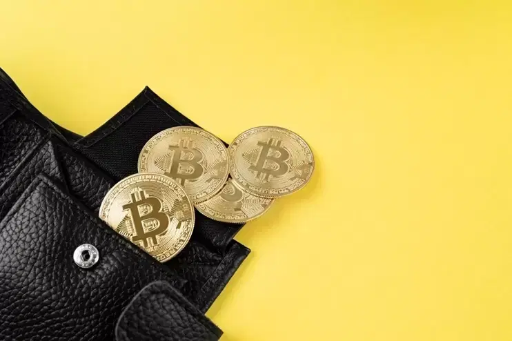 208일째 수요 마이너스...비트코인(BTC), 7월 반등 열쇠는 'ETF'