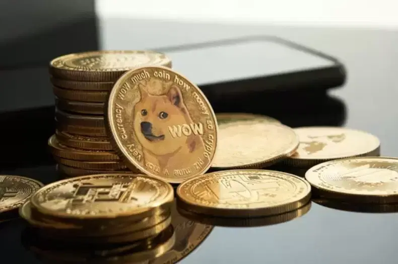 도지코인(DOGE) "60일 안에 자산 인출 안 하면 소멸"...추가 폭락 경고등