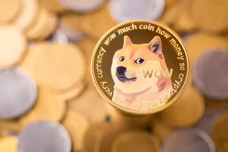 도지코인(DOGE), 고래 2억 개 매집 뒤 1달러?