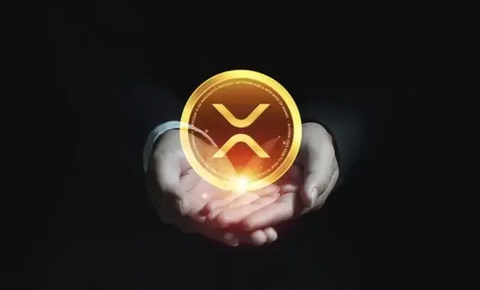 2026년 리플(XRP) 백만장자 지갑 증가…대형 투자자 매집 지속