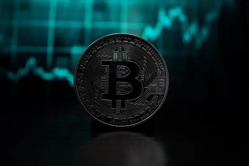 비트코인(BTC), 고래들마저 유입 축소...단기 급반등의 함정?