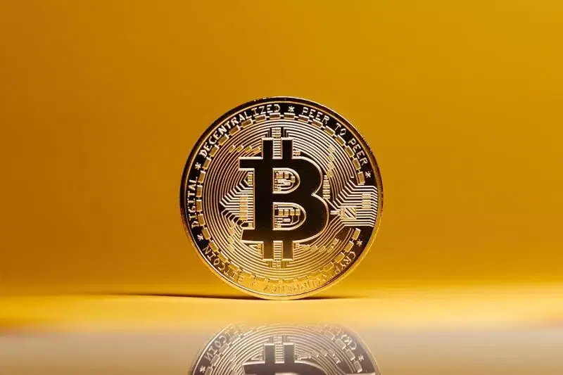 비트코인 ETF, 자금 귀환...월가 팔 때 고래는 매일 '줍줍'