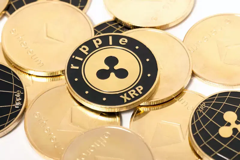 코인베이스 출금 3.7배...바이낸스 고래들, 100만 XRP 초과 거래 비중 55% 돌파