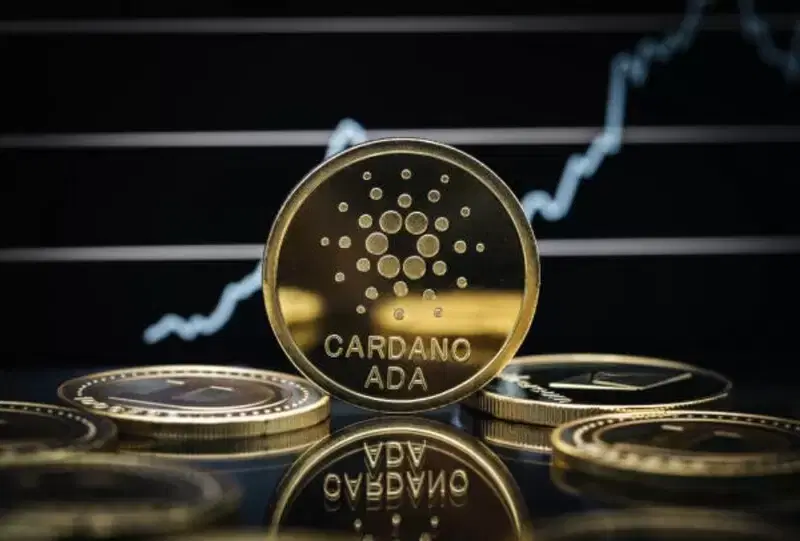 카르다노(ADA), 25% 반등의 배신...0.2달러 벽에서 18% 추가 하락 경고