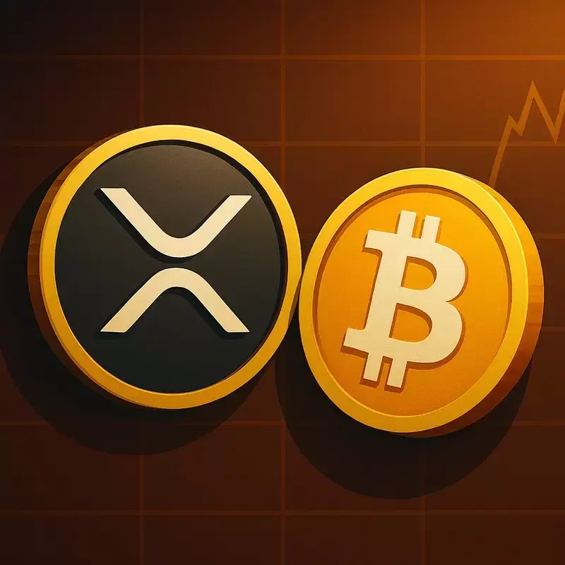 블랙스완 공동창립자 "XRP, 사상 최고가 경신하면 비트코인 지지자도 매도할 것"