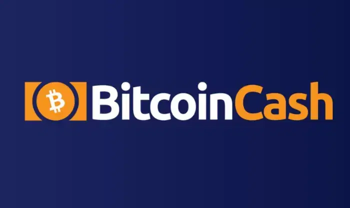 Bitcoin Cash (BCH) skyrockets by over 30% in a day… $350 within reach with CME futures listing
