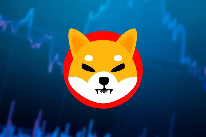 Shiba Inu (SHIB) Surpasses $50 Million on Indian Exchange... What's Behind the Explosive Buying?