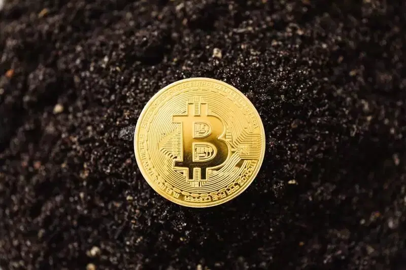 비트코인(BTC), 금리 인상 쇼크에도 안 죽었다...8만 8,000달러 랠리 시동