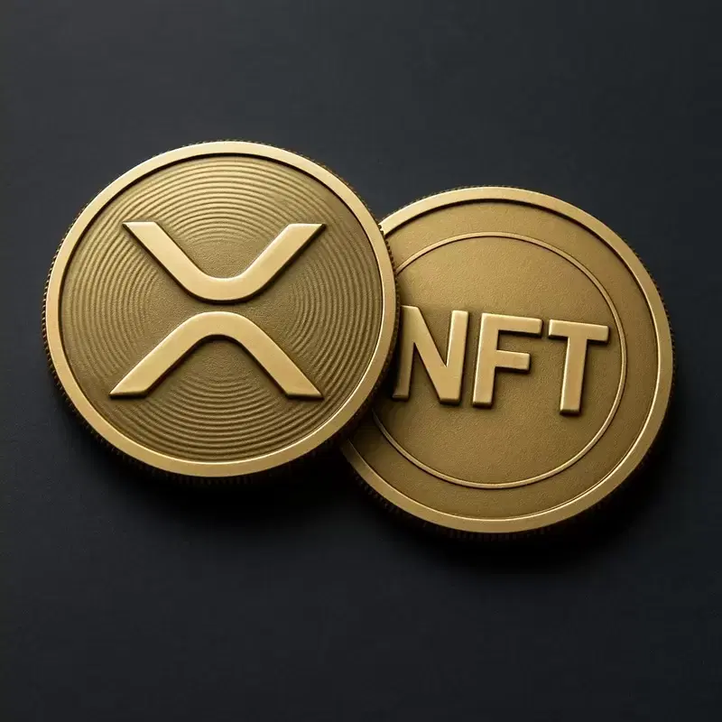 XRP 레저 NFT 컬렉션 창시자 "우리는 아직 이르다"...다음 상승장은 언제?